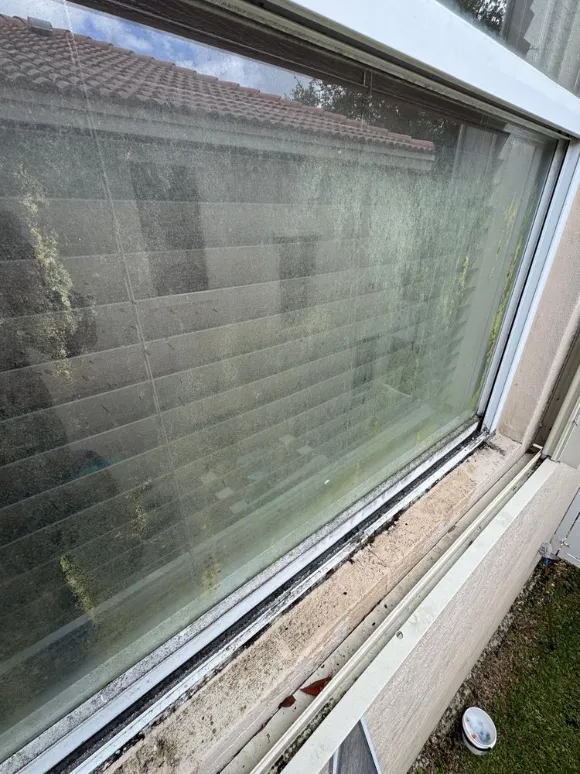 Professional House Painting