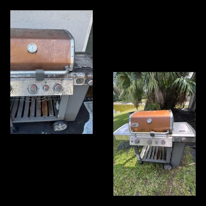 Professional House Painting